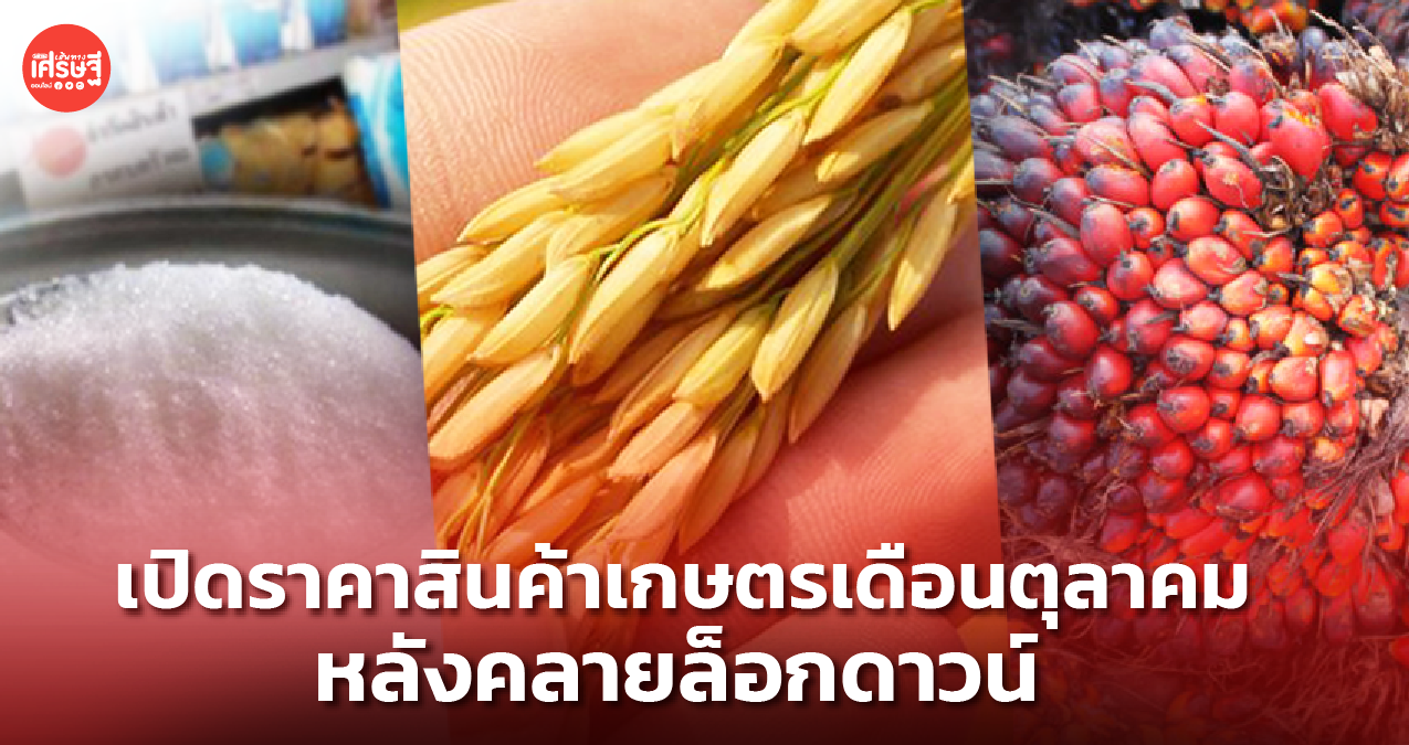 เปิดราคาสินค้าเกษตรเดือนตุลาคม หลังคลายล็อกดาวน์ ชิ้นไหนราคาขึ้น-ลง เช็กได้ที่นี่
