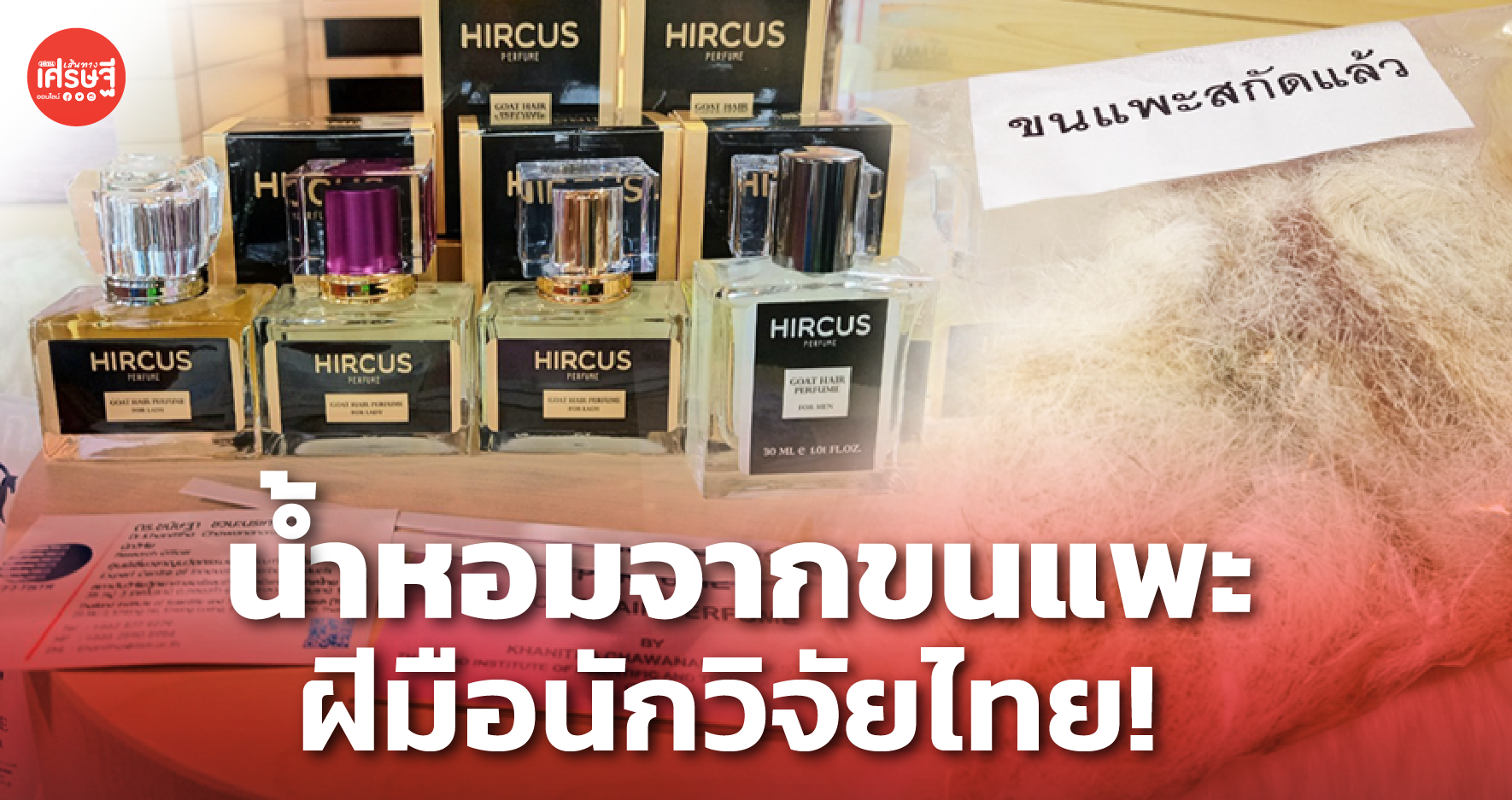 น้ำหอมจากขนแพะ ฝีมือนักวิจัยไทย โดดเด่น มีกลิ่นเฉพาะตัว เลียนแบบยาก!