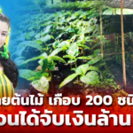 สาว 29 ผันชีวิตสู่เกษตรกร ขายต้นไม้ เกือบ 200 ชนิด จนได้จับเงินล้าน 