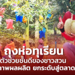 ถุงห่อทุเรียน ตัวช่วยชั้นดีของชาวสวน เพิ่มคุณภาพผลผลิต ยกระดับสู่ตลาดพรีเมี่ยม 