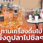 น้ำไม่ได้ท่วม! แต่นี่คือ คาเฟ่ปลา ร้านแรกในไทย ตอบโจทย์ฟิชเลิฟเวอร์
