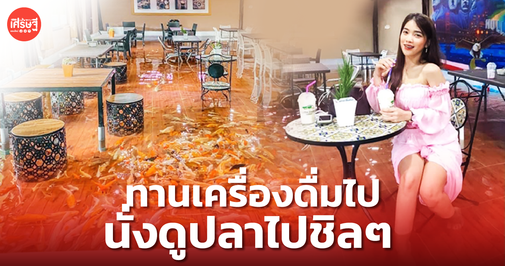 น้ำไม่ได้ท่วม! แต่นี่คือ คาเฟ่ปลา ร้านแรกในไทย ตอบโจทย์ฟิชเลิฟเวอร์