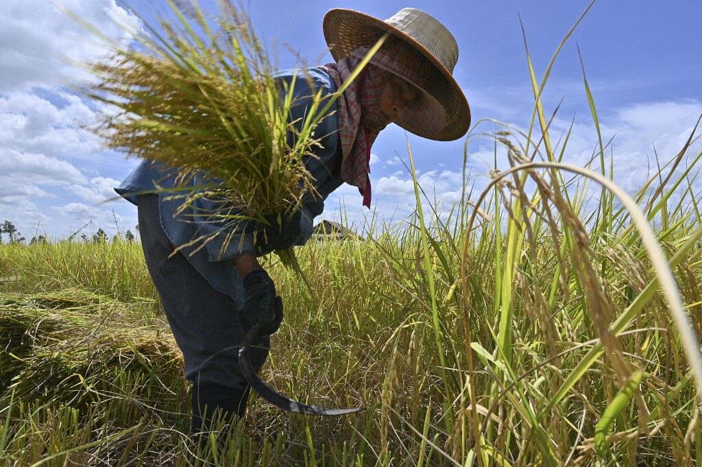 ภาพจาก ประชาชาติธุรกิจออนไลน์
