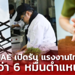 นวดสปา-คนครัว-ก่อสร้าง ได้ไปต่อ! UAE เปิดรับ แรงงานไทย กว่า 6 หมื่นตำแหน่ง