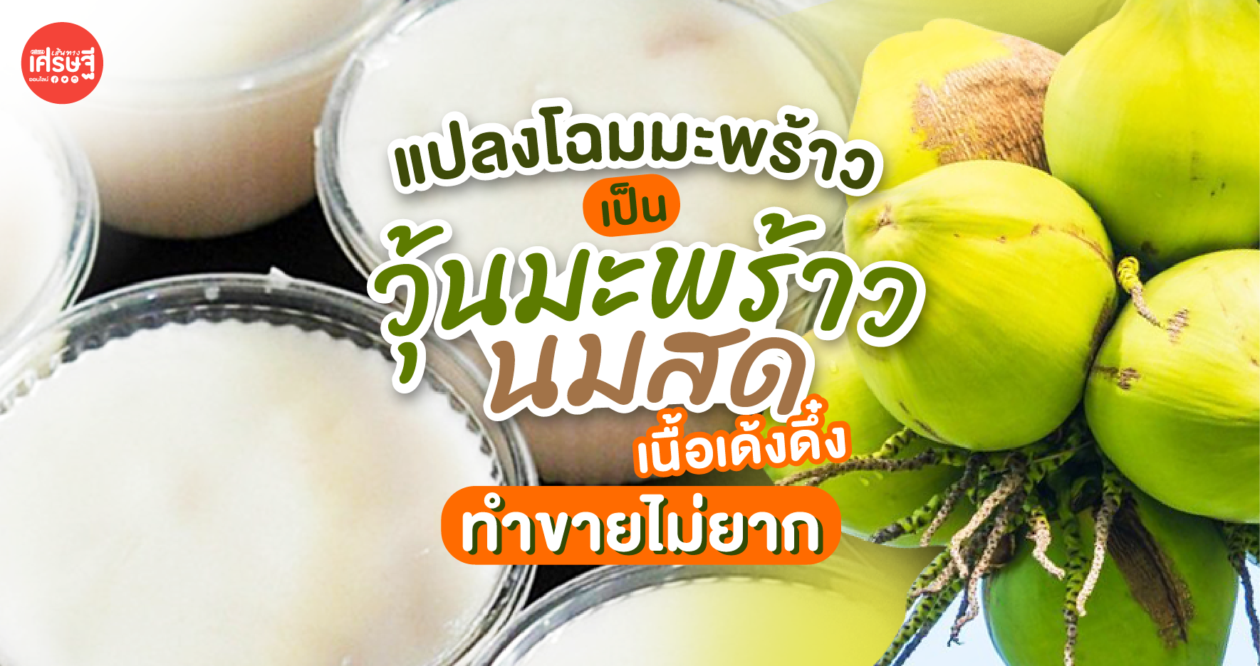 แปลงโฉมมะพร้าวธรรมดา ให้เป็น วุ้นมะพร้าวนมสด สดชื่นแถมอร่อย ทำขายไม่ยาก