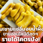 สะใภ้เพชรบูรณ์ ต่อยอดธุรกิจแม่สามี ขายมะขามแช่อิ่มออนไลน์ รายได้ 6 หลัก
