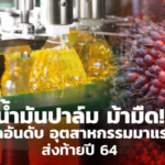 น้ำมันปาล์ม ม้ามืด! ติดอันดับ อุตสาหกรรมมาแรง ส่งท้ายปี 64