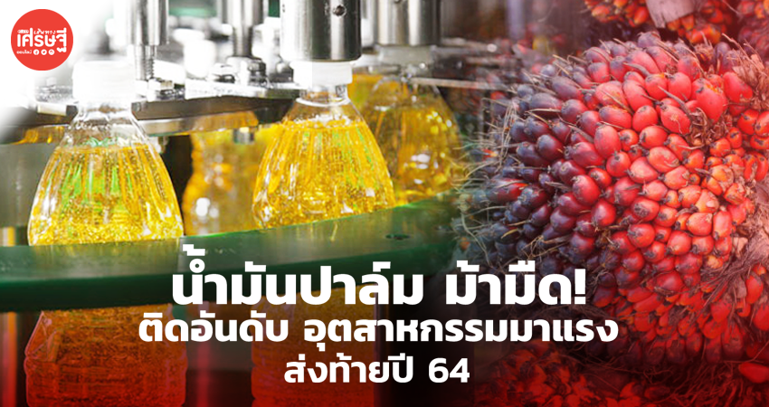 น้ำมันปาล์ม ม้ามืด! ติดอันดับ อุตสาหกรรมมาแรง ส่งท้ายปี 64