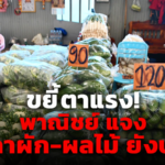 ขยี้ตาแรง! พาณิชย์ แจง ราคาผัก-ผลไม้ ยังปกติ มีปรับขึ้นลงตามฤดูกาล 