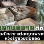 จานกาบหมาก ดีต่อโลก จีนตื่นตัวมาก แต่สะดุดเพราะโควิด หวังรัฐช่วยต่อยอด