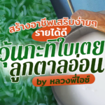 สร้างอาชีพเสริมง่ายๆ รายได้ดี ด้วย วุ้นกะทิใบเตยลูกตาลอ่อน by หลวงพี่ไอซ์
