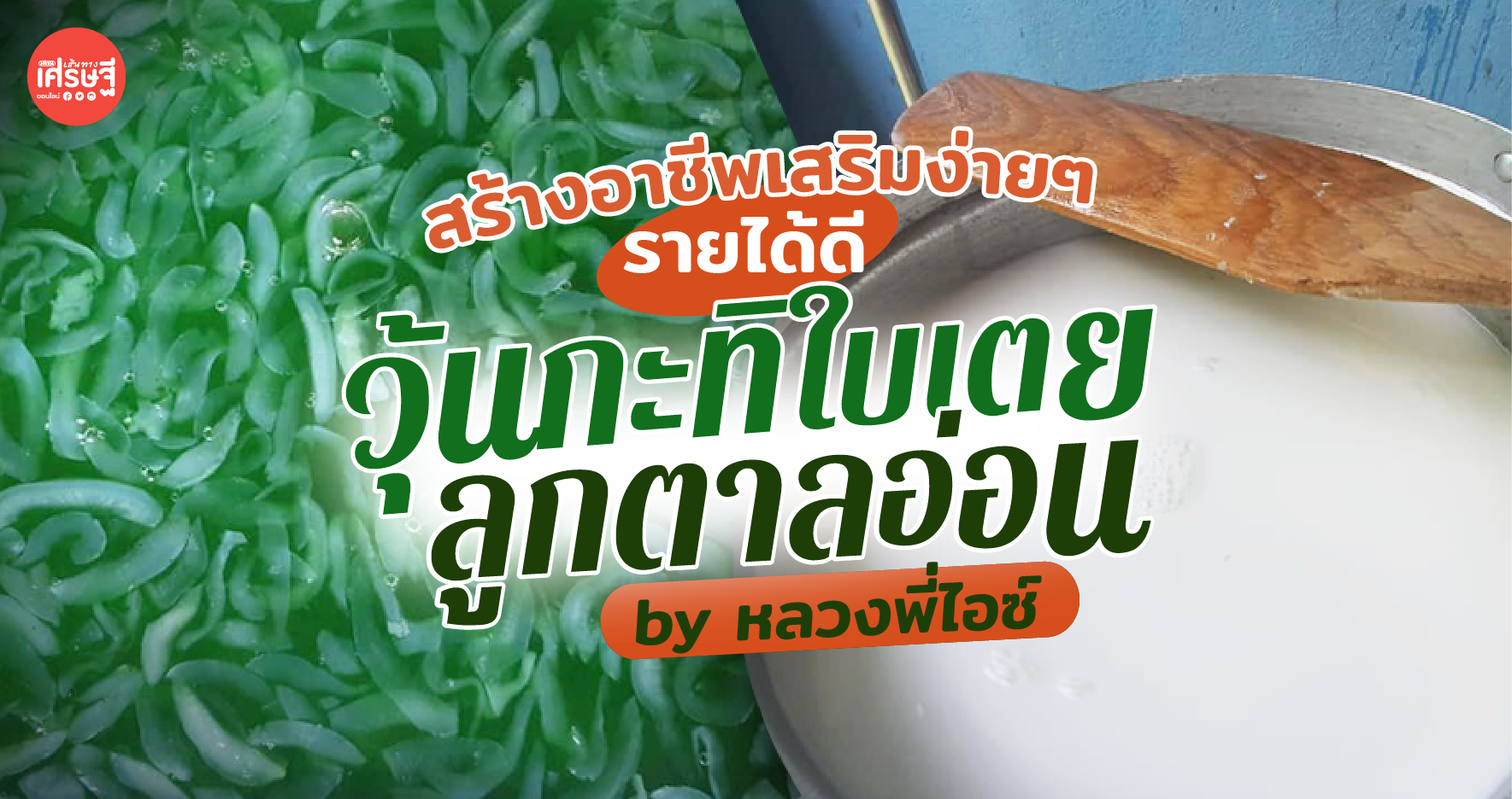 สร้างอาชีพเสริมง่ายๆ รายได้ดี ด้วย วุ้นกะทิใบเตยลูกตาลอ่อน by หลวงพี่ไอซ์