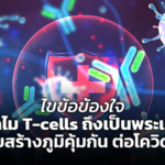 ไขข้อข้องใจ ทำไม T-cells ถึงเป็นพระเอก ช่วยสร้างภูมิคุ้มกัน ต่อโควิด-19