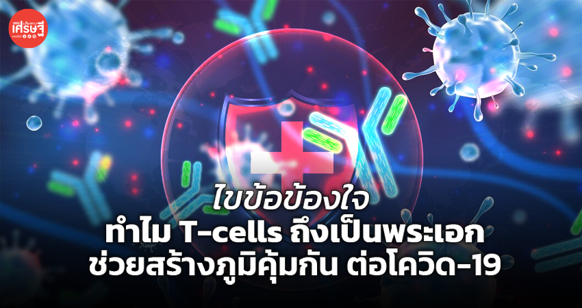 ไขข้อข้องใจ ทำไม T-cells ถึงเป็นพระเอก ช่วยสร้างภูมิคุ้มกัน ต่อโควิด-19