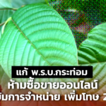 แก้ พ.ร.บ.กระท่อม ห้ามซื้อขายออนไลน์ คุมเข้มการจำหน่ายเพิ่มโทษ 2 เท่า