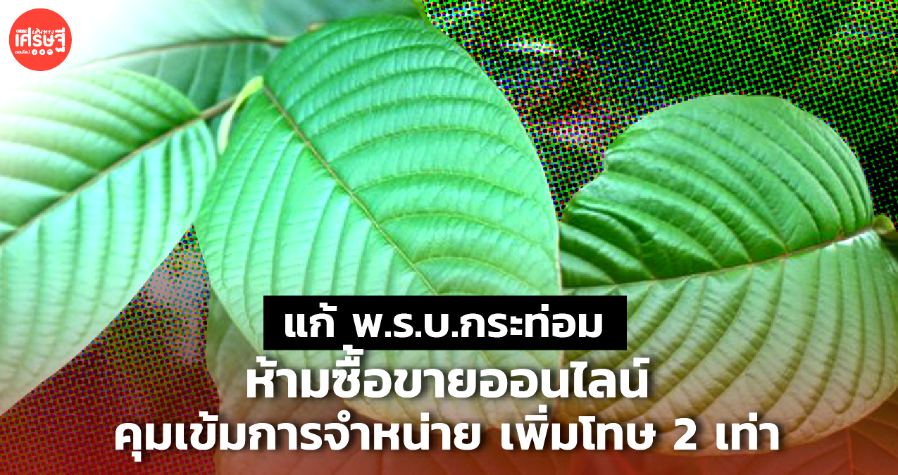 แก้ พ.ร.บ.กระท่อม ห้ามซื้อขายออนไลน์ คุมเข้มการจำหน่ายเพิ่มโทษ 2 เท่า