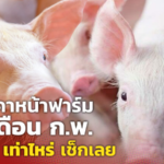 เปิดราคาหน้าฟาร์ม หมู เดือน ก.พ. เพิ่ม-ลด เท่าไหร่ เช็กเลย