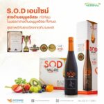 ซัคเซสมอร์ เอาใจคนรักสุขภาพ กับผลิตภัณฑ์เสริมอาหารแบรนด์ นูทรินัล 