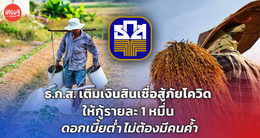 ธ.ก.ส. เติมเงินสินเชื่อสู้ภัยโควิด ให้กู้รายละ 1 หมื่น ดอกเบี้ยต่ำ ไม่ต้องมีคนค้ำ 