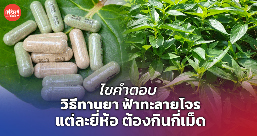 ไขคำตอบ วิธีทานยา ฟ้าทะลายโจร แต่ละยี่ห้อ ต้องกินกี่เม็ด