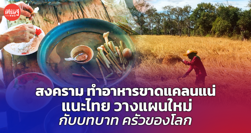 สงคราม ทำอาหารขาดแคลนแน่ แนะไทย วางแผนใหม่ กับบทบาท ครัวของโลก