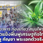 อาหาร ท่องเที่ยว สมุนไพร จุดแข็งฟื้นฟูเศรษฐกิจไทย ชู กัญชา พระเอกตัวจริง