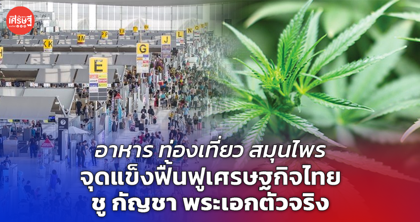 อาหาร ท่องเที่ยว สมุนไพร จุดแข็งฟื้นฟูเศรษฐกิจไทย ชู กัญชา พระเอกตัวจริง