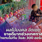 ผลไม้มงคล จัดเซต ขายดีมากช่วงเทศกาล ทำแทบไม่ทัน วันละ 300 ออร์เดอร์