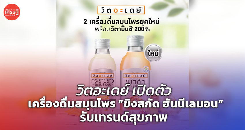 วิตอะเดย์ เปิดตัว เครื่องดื่มสมุนไพร “ขิงสกัด ฮันนีเลมอน” รับเทรนด์สุขภาพ
