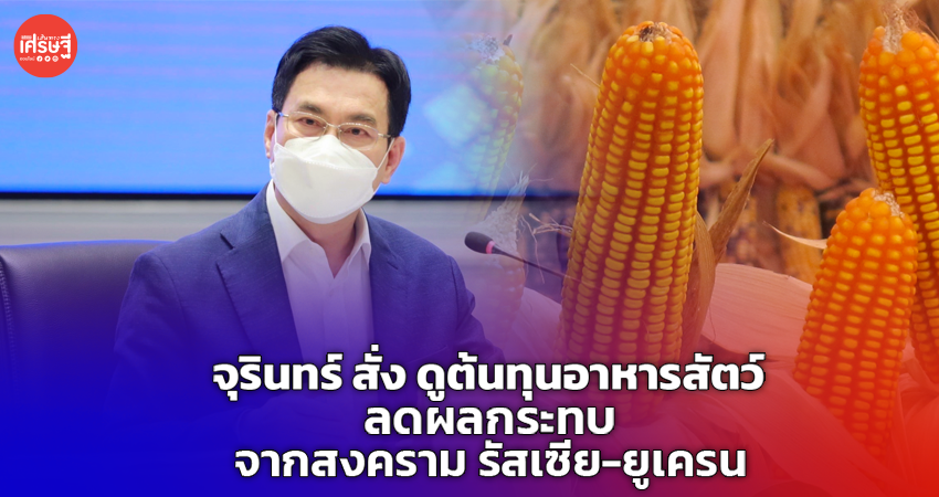 จุรินทร์ สั่ง ดูต้นทุนอาหารสัตว์ ลดผลกระทบ จากสงคราม รัสเซีย-ยูเครน