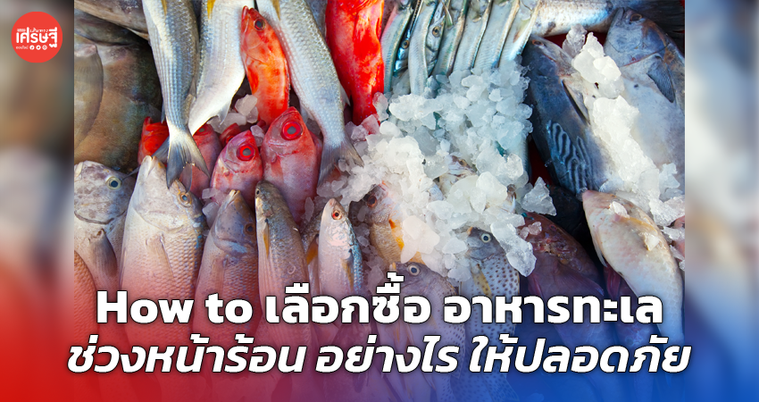 How to เลือกซื้อ อาหารทะเล ช่วงหน้าร้อน อย่างไร ให้ปลอดภัย 