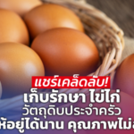 แชร์เคล็ดลับ! เก็บรักษา ไข่ไก่ วัตถุดิบประจำครัว ให้อยู่ได้นาน คุณภาพไม่ลด