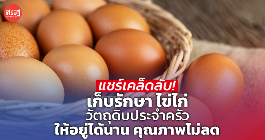 แชร์เคล็ดลับ! เก็บรักษา ไข่ไก่ วัตถุดิบประจำครัว ให้อยู่ได้นาน คุณภาพไม่ลด