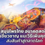 สมุนไพรไทย อนาคตสดใส ผู้เชี่ยวชาญ แนะวิธีเพิ่มคุณค่า ส่งสินค้าสู่ตลาดโลก