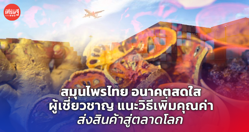 สมุนไพรไทย อนาคตสดใส ผู้เชี่ยวชาญ แนะวิธีเพิ่มคุณค่า ส่งสินค้าสู่ตลาดโลก