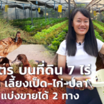 ทำเกษตร บนที่ดิน 7 ไร่ ปลูกผัก เลี้ยงเป็ด-ไก่-ปลา แบ่งกิน แบ่งขายได้ 2 ทาง
