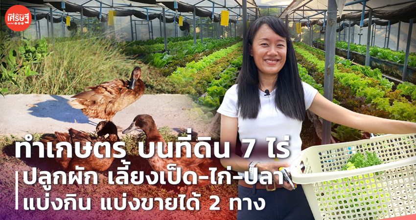 ทำเกษตร บนที่ดิน 7 ไร่ ปลูกผัก เลี้ยงเป็ด-ไก่-ปลา แบ่งกิน แบ่งขายได้ 2 ทาง