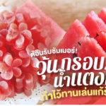 ต้อนรับซัมเมอร์! เปิดสูตร วุ้นกรอบน้ำแตงโม ทำไว้ทานเล่นแก้ร้อนกัน