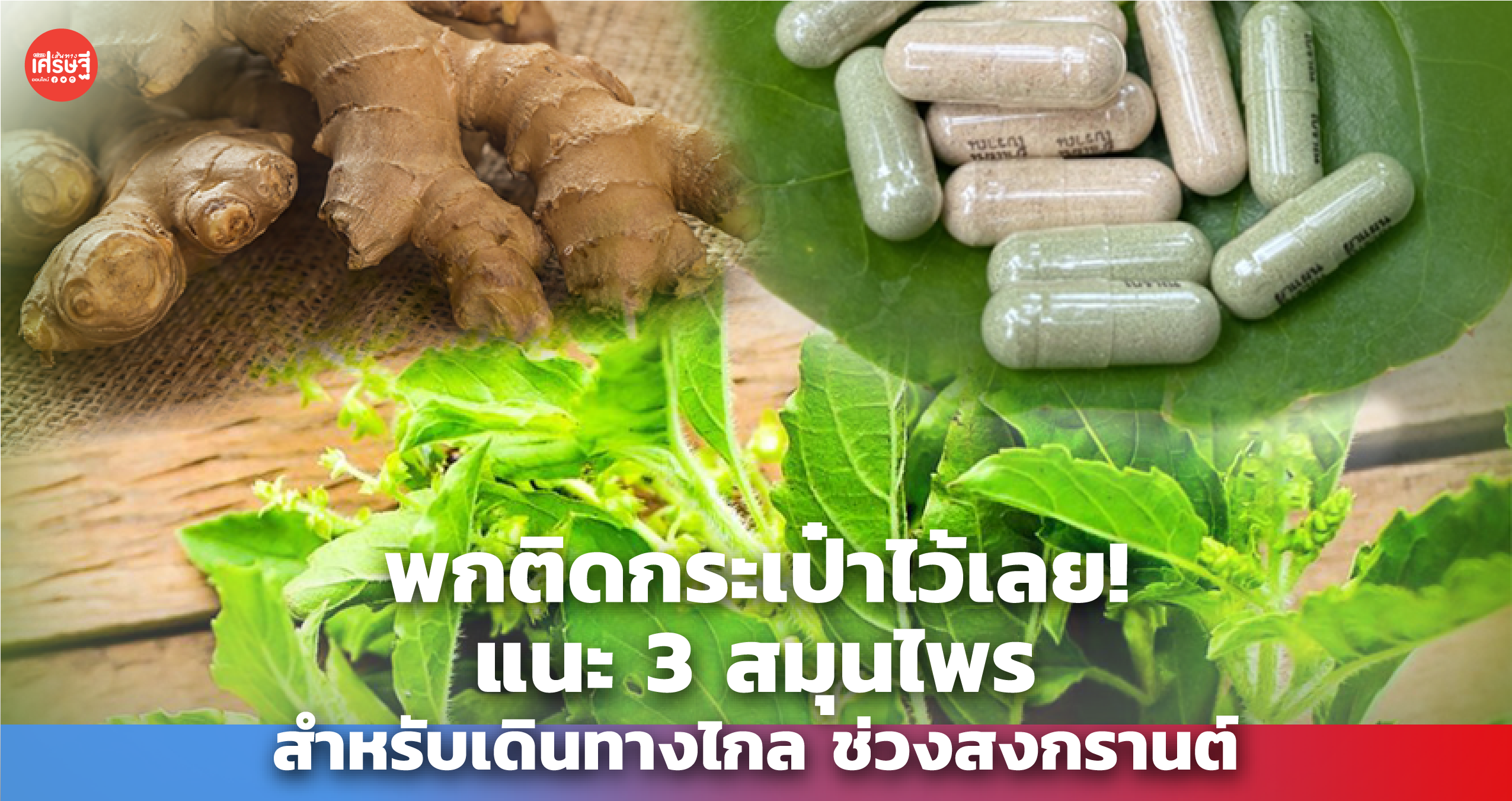 พกติดกระเป๋าไว้เลย! แนะ 3 สมุนไพร สำหรับเดินทางไกล ช่วงสงกรานต์ 