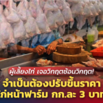 ผู้เลี้ยงไก่ เจอวิกฤตซ้อนวิกฤต! จำเป็นต้องปรับขึ้นราคา ไก่หน้าฟาร์ม กก.ละ 3 บาท 