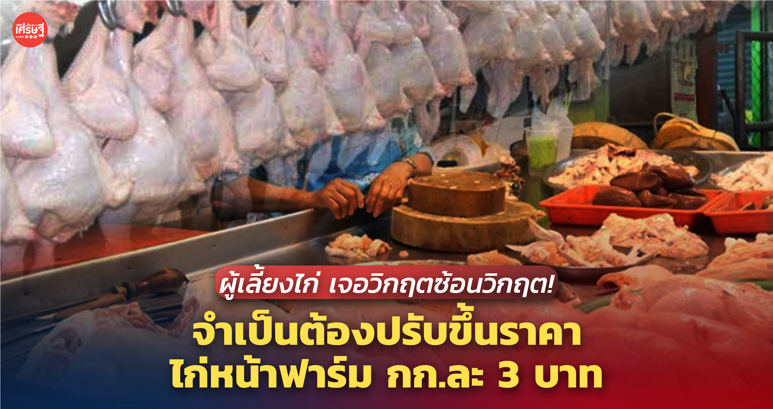 ผู้เลี้ยงไก่ เจอวิกฤตซ้อนวิกฤต! จำเป็นต้องปรับขึ้นราคา ไก่หน้าฟาร์ม กก.ละ 3 บาท 