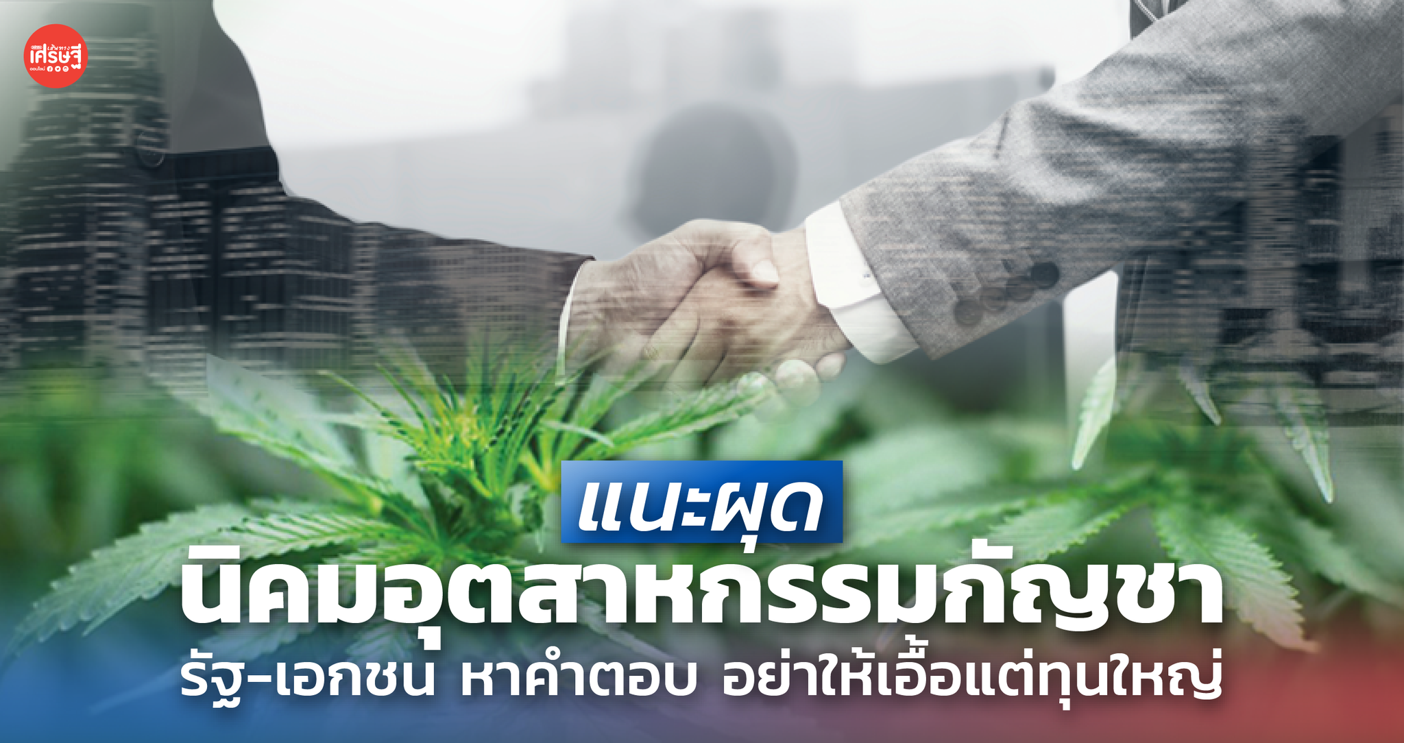 แนะผุด นิคมอุตสาหกรรมกัญชา รัฐ-เอกชน ช่วยกันหาคำตอบ อย่าให้เอื้อแต่ทุนใหญ่