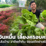 มีเงินหมื่น เลี้ยงครอบครัว! สวนผักหลังบ้าน อาชีพทำกิน ของอดีตช่างซ่อมคอมพ์