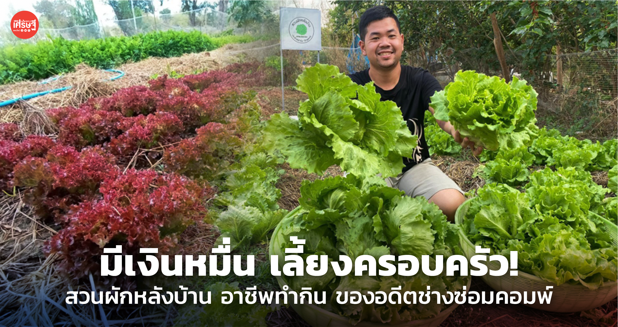 มีเงินหมื่น เลี้ยงครอบครัว! สวนผักหลังบ้าน อาชีพทำกิน ของอดีตช่างซ่อมคอมพ์