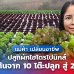 แม่ค้า เปลี่ยนอาชีพ ปลูกผักไฮโดรโปนิกส์ เริ่มต้นจาก 10 โต๊ะปลูก สู่ 20 ไร่