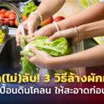 เคล็ด(ไม่)ลับ! 3 วิธีล้างผักผลไม้ ปนเปื้อนดินโคลน ให้สะอาดก่อนกิน