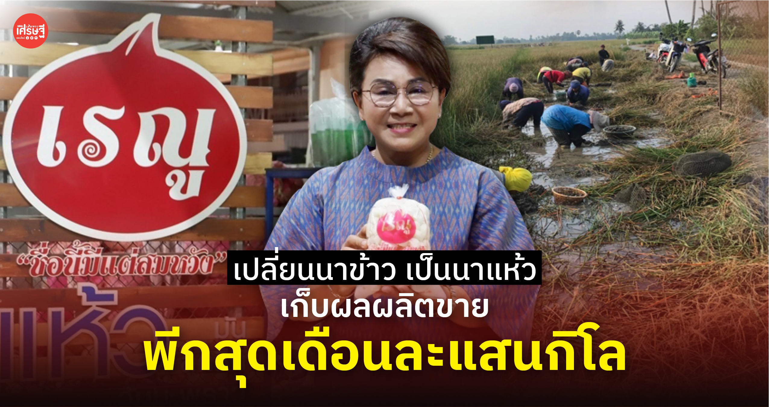 เปลี่ยนนาข้าว เป็นนาแห้ว เก็บผลผลิตขาย พีกสุดเดือนละแสนกิโล 