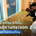คึกคัก กัญชาเสรี แก้จน แก้เจ็บ แจกพันธุ์หางกระรอก 2 พันต้น อนุทิน ลั่น อย่าโฟกัสแต่โทษ