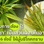 ผู้ประกอบการรู้ไว้! ใช้ กัญชา ผสมในอาหาร ต้องแจ้ง 6 ข้อ ให้ผู้บริโภคทราบ