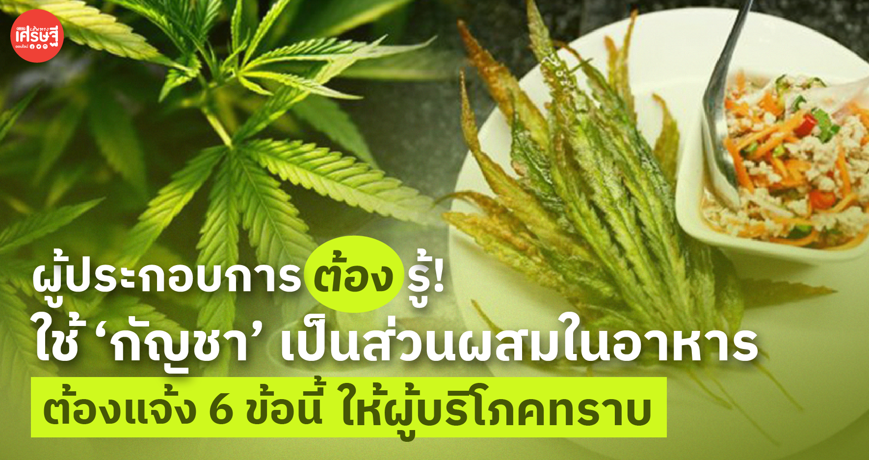 ผู้ประกอบการรู้ไว้! ใช้ กัญชา ผสมในอาหาร ต้องแจ้ง 6 ข้อ ให้ผู้บริโภคทราบ
